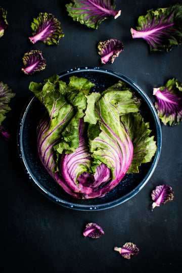 Holistic Nutrition Nurturing Mind, Body  Soul