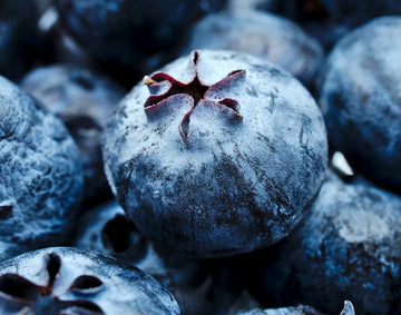 The Power of Antioxidants in Enhancing Cellular Health