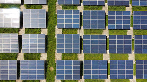 Sustainable Practices in the Nutraceutical Industry