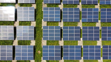 Sustainable Practices in the Nutraceutical Industry