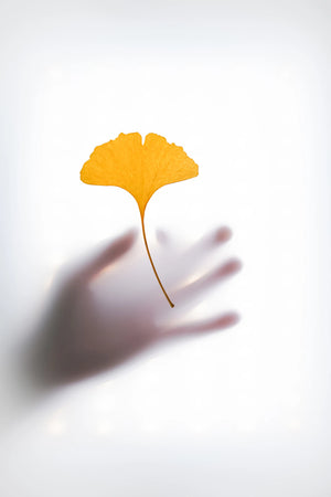The Power of Prevention: How Dietary Supplements Shape Your Health Journey