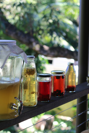 The Link Between Gut Health and Nutraceuticals