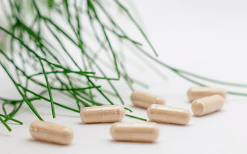 The Impact of Dietary Supplements on Immune Health