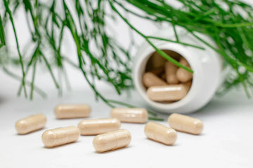 Natural vs. Synthetic Supplements Know the Differences